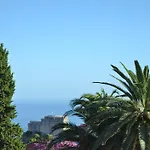 Jelica 3*